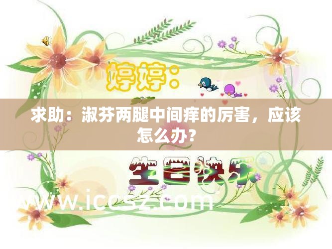 求助：淑芬两腿中间痒的厉害，应该怎么办？