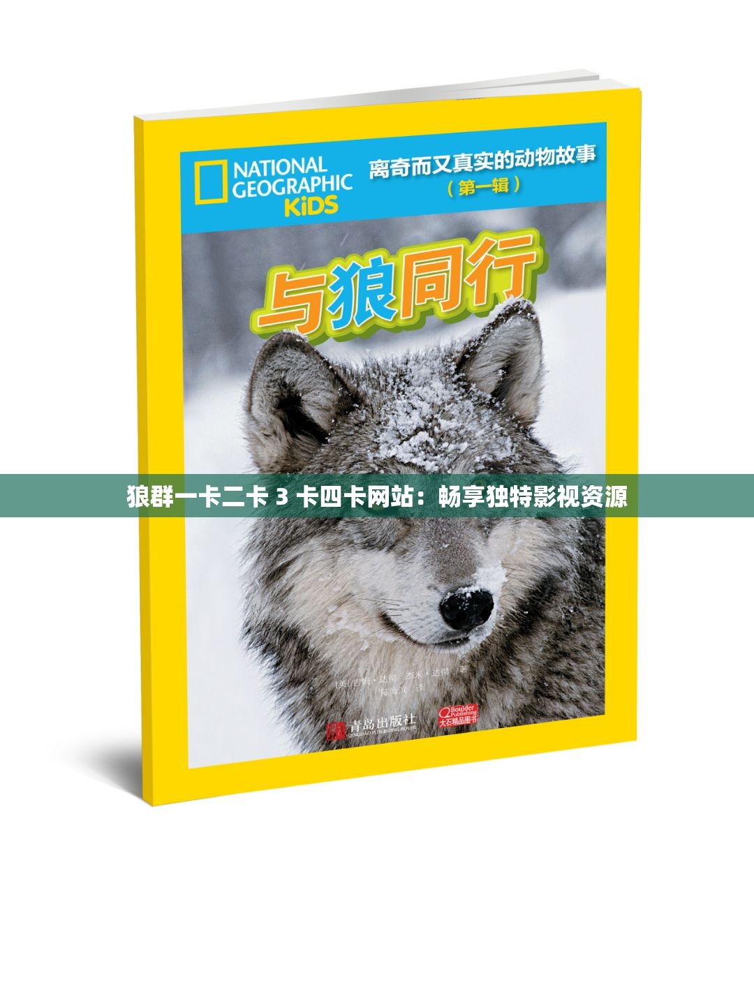 狼群一卡二卡 3 卡四卡网站：畅享独特影视资源