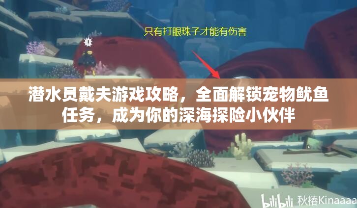 潜水员戴夫游戏攻略，全面解锁宠物鱿鱼任务，成为你的深海探险小伙伴