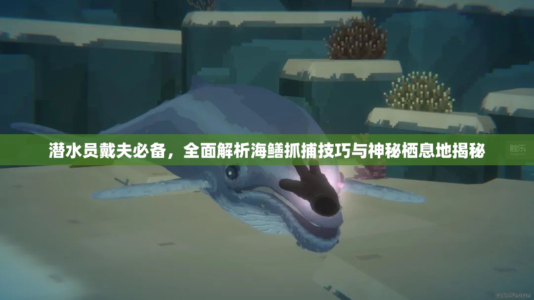 潜水员戴夫必备，全面解析海鳝抓捕技巧与神秘栖息地揭秘