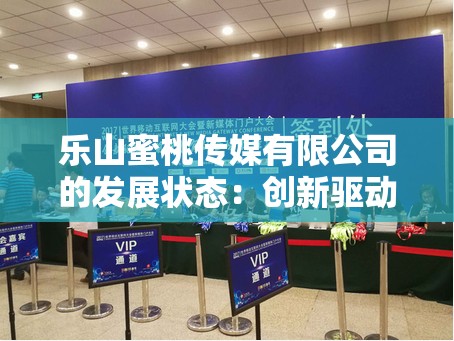 乐山蜜桃传媒有限公司的发展状态：创新驱动持续进步前景广阔