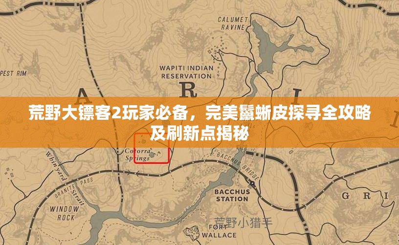 荒野大镖客2玩家必备，完美鬣蜥皮探寻全攻略及刷新点揭秘