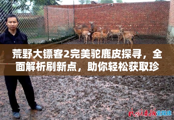 荒野大镖客2完美驼鹿皮探寻，全面解析刷新点，助你轻松获取珍稀皮革全攻略
