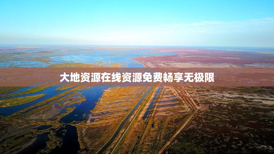 大地资源在线资源免费畅享无极限