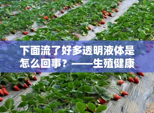 下面流了好多透明液体是怎么回事？——生殖健康问题不容忽视