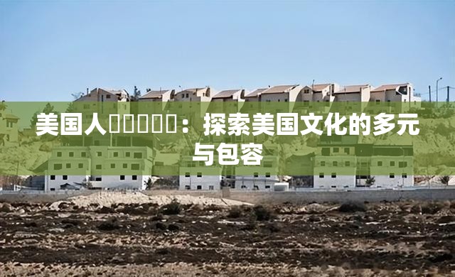 美国人乄乄乄乄乄：探索美国文化的多元与包容