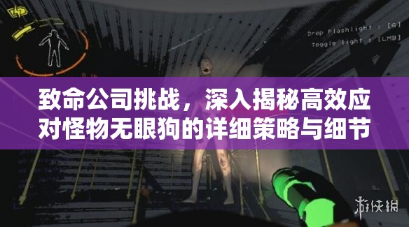 致命公司挑战，深入揭秘高效应对怪物无眼狗的详细策略与细节