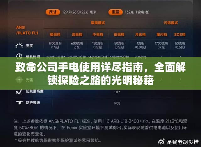 致命公司手电使用详尽指南，全面解锁探险之路的光明秘籍
