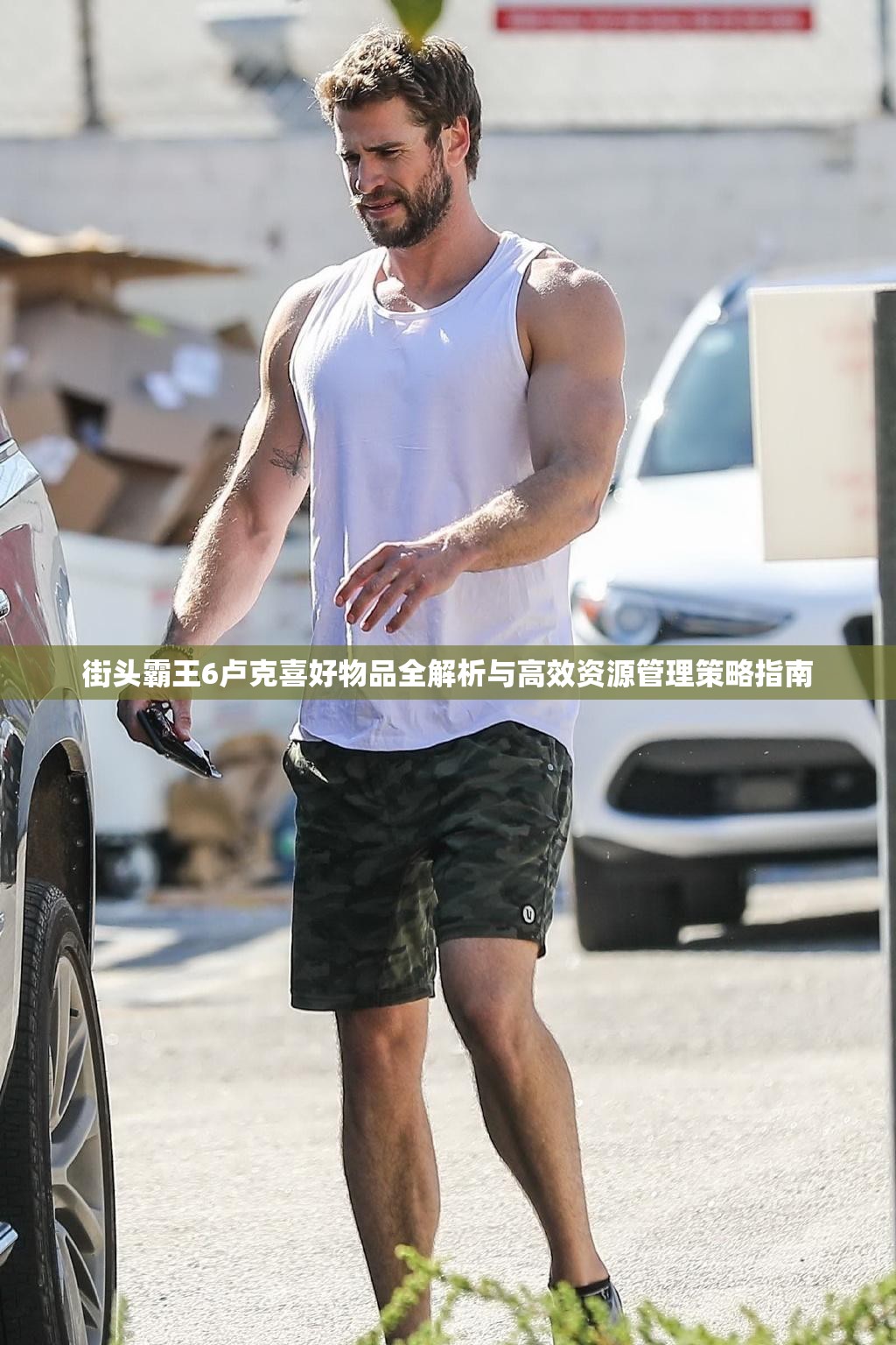 街头霸王6卢克喜好物品全解析与高效资源管理策略指南