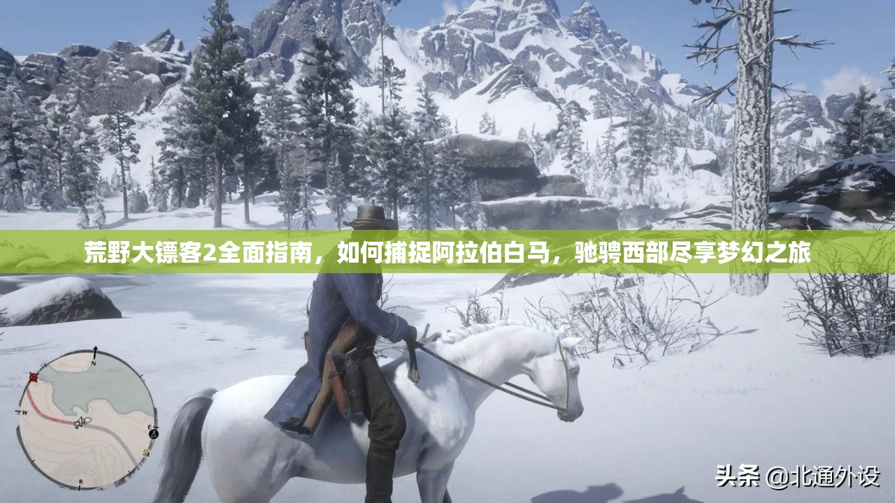 荒野大镖客2全面指南，如何捕捉阿拉伯白马，驰骋西部尽享梦幻之旅