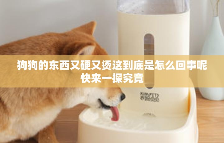 狗狗的东西又硬又烫这到底是怎么回事呢快来一探究竟