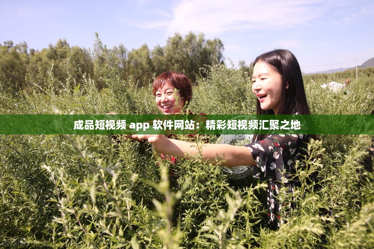 成品短视频 app 软件网站：精彩短视频汇聚之地