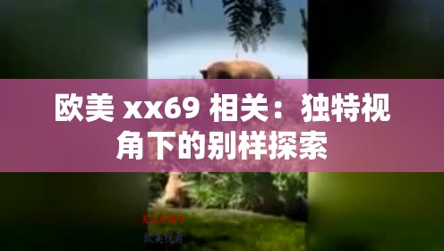 欧美 xx69 相关：独特视角下的别样探索
