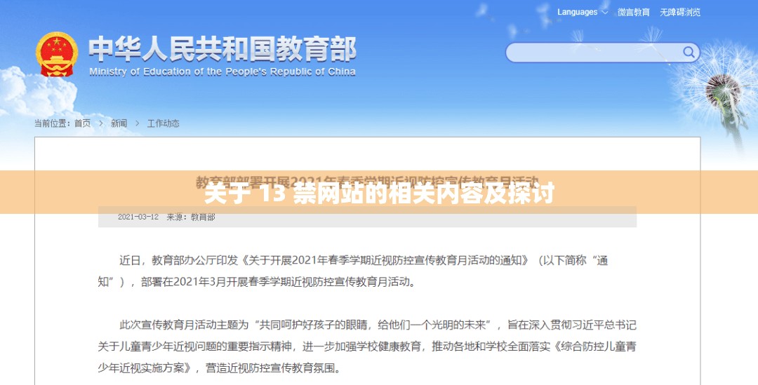 关于 13 禁网站的相关内容及探讨