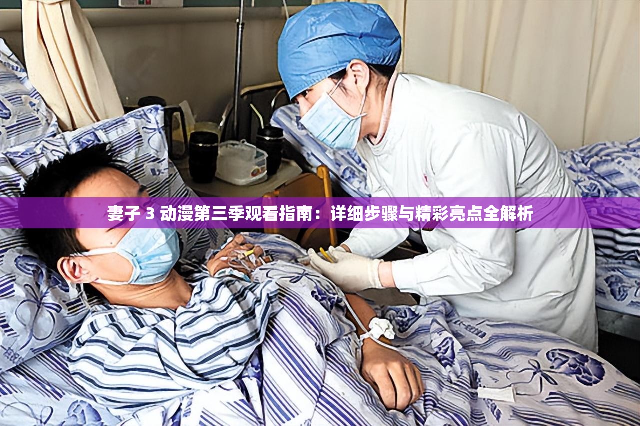 妻子 3 动漫第三季观看指南：详细步骤与精彩亮点全解析