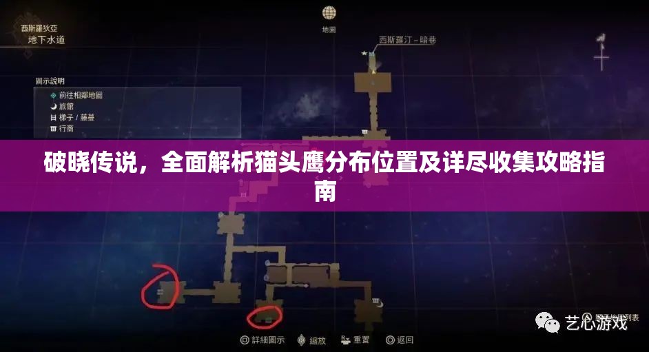 破晓传说，全面解析猫头鹰分布位置及详尽收集攻略指南