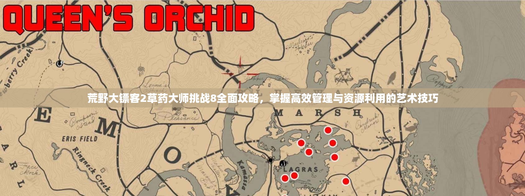 荒野大镖客2草药大师挑战8全面攻略，掌握高效管理与资源利用的艺术技巧
