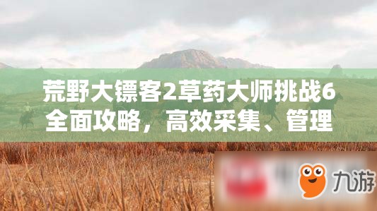 荒野大镖客2草药大师挑战6全面攻略，高效采集、管理与使用草药的必备技巧