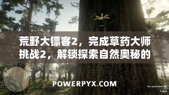 荒野大镖客2，完成草药大师挑战2，解锁探索自然奥秘的必备钥匙