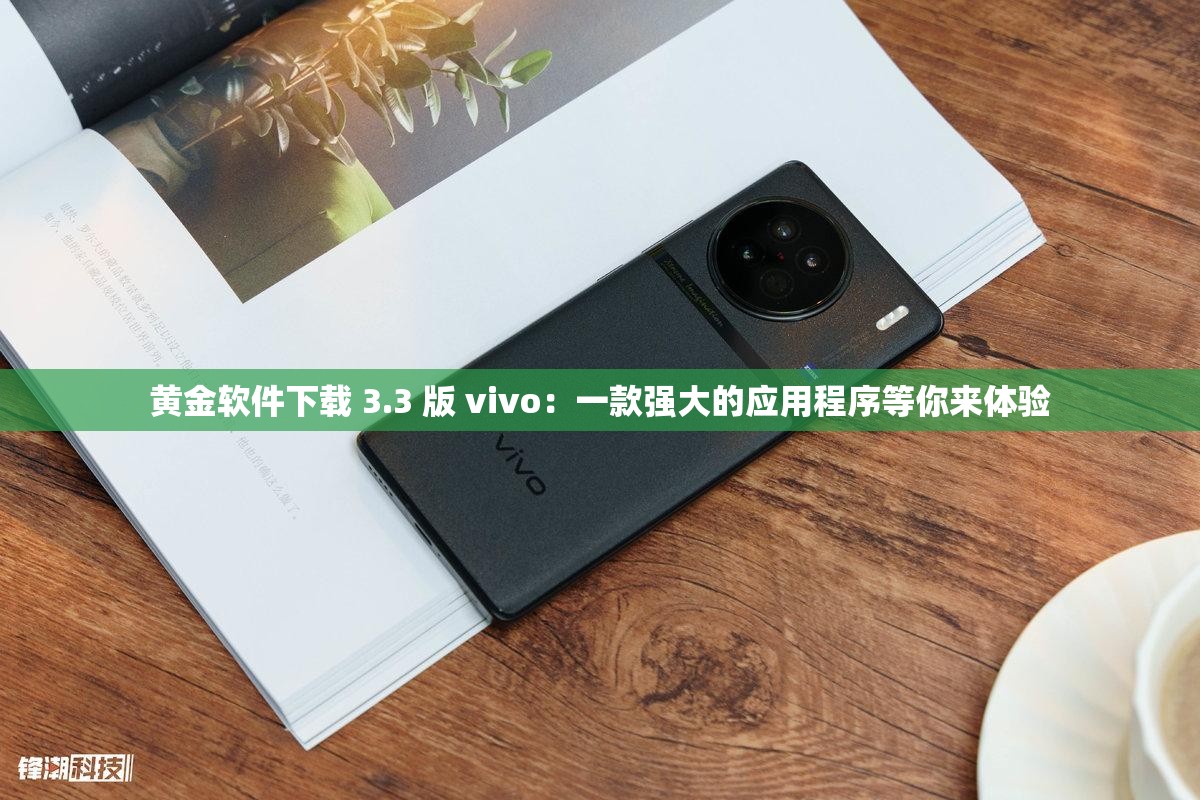 黄金软件下载 3.3 版 vivo：一款强大的应用程序等你来体验