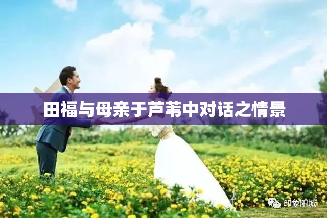 田福与母亲于芦苇中对话之情景