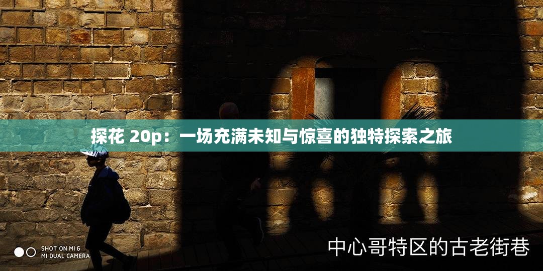 探花 20p：一场充满未知与惊喜的独特探索之旅