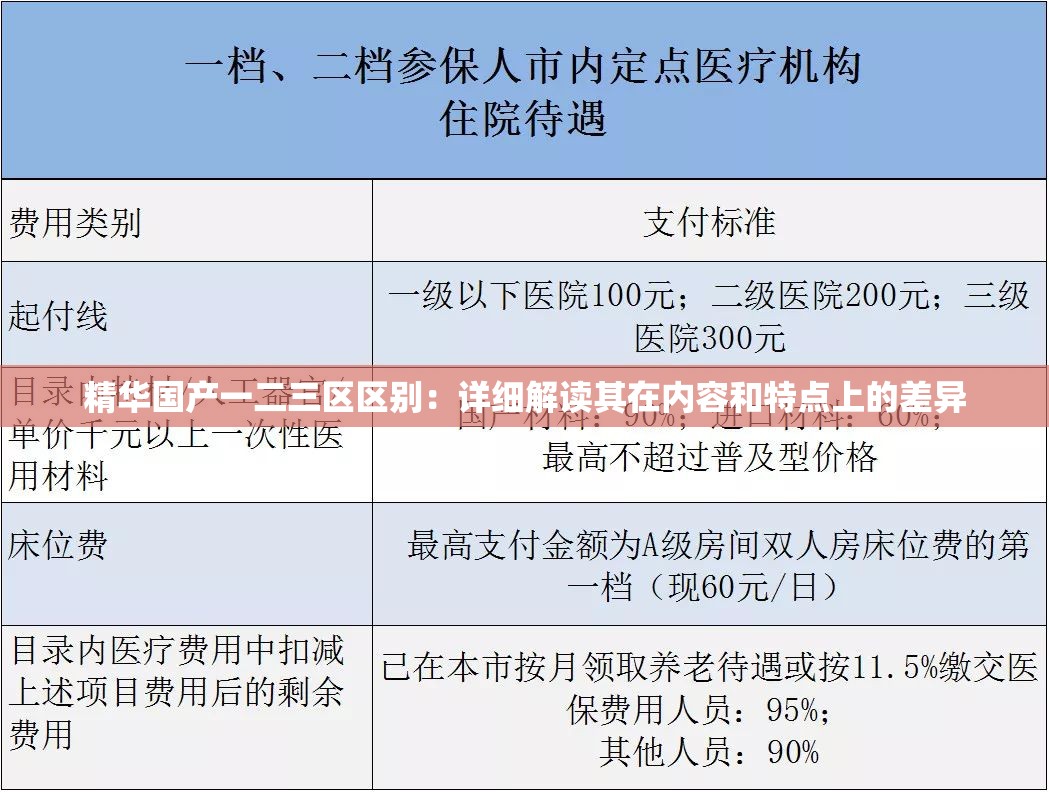 精华国产一二三区区别：详细解读其在内容和特点上的差异