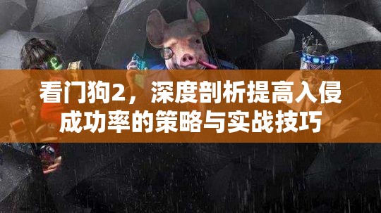 看门狗2，深度剖析提高入侵成功率的策略与实战技巧