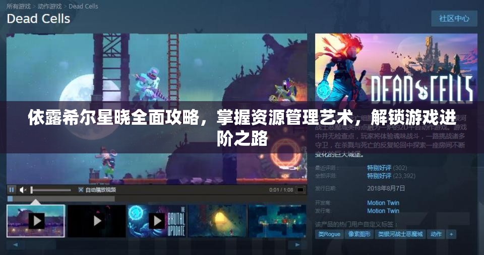 依露希尔星晓全面攻略，掌握资源管理艺术，解锁游戏进阶之路