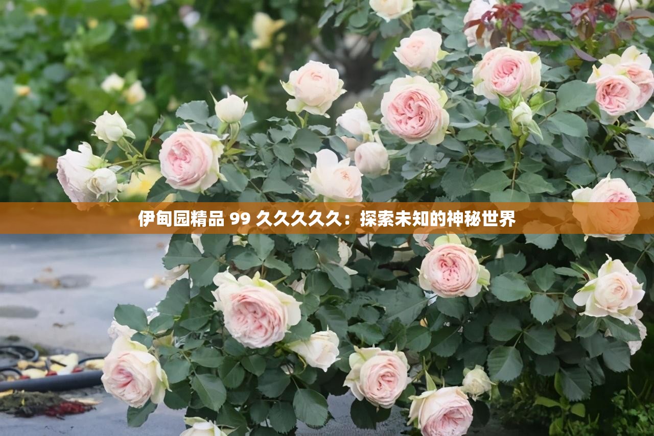伊甸园精品 99 久久久久久：探索未知的神秘世界