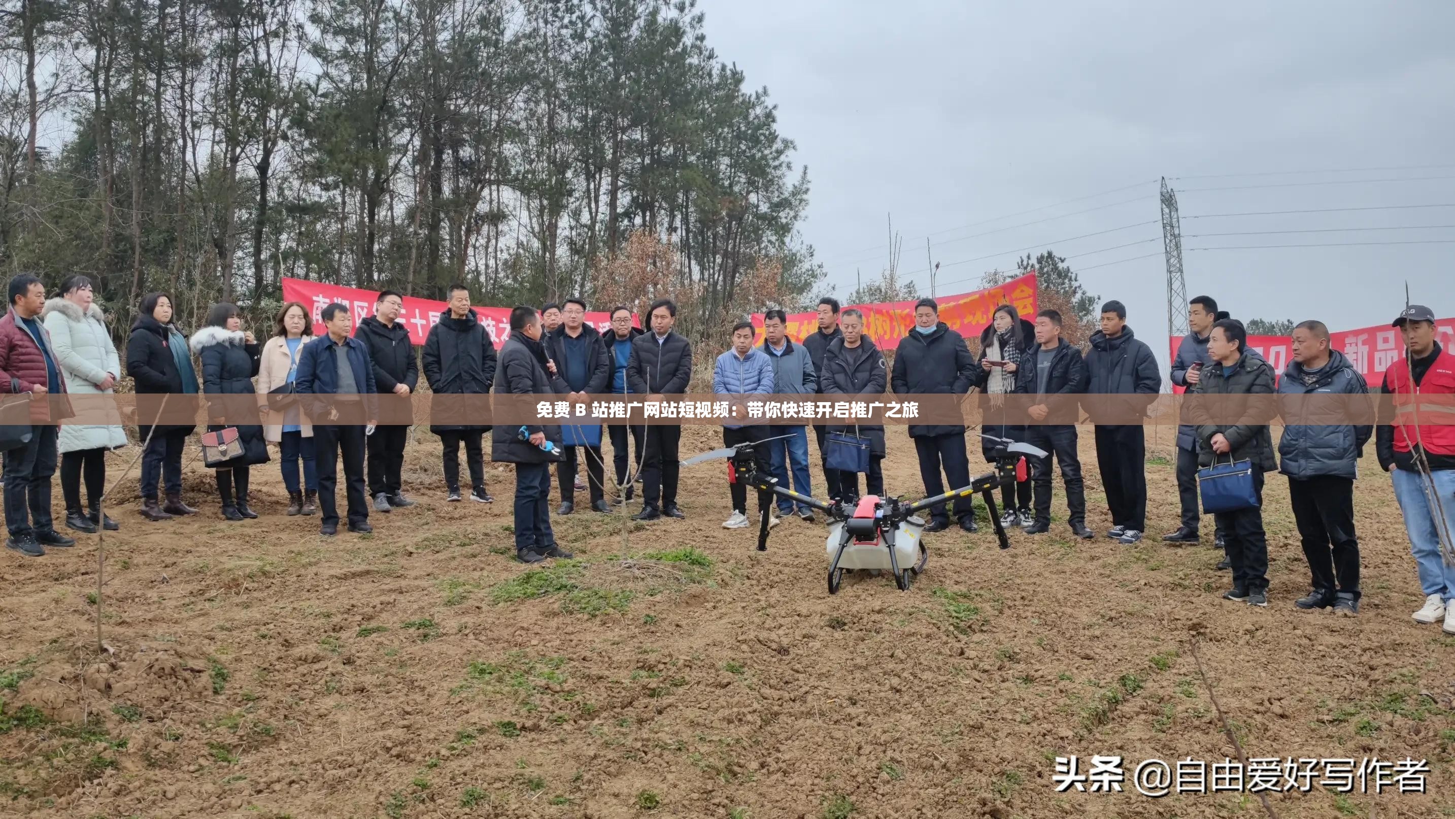 免费 B 站推广网站短视频：带你快速开启推广之旅