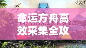 命运方舟高效采集全攻略，揭秘游戏内最佳采集地点与技巧
