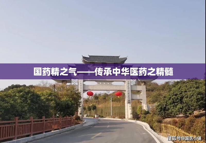 国药精之气——传承中华医药之精髓