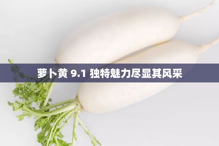萝卜黄 9.1 独特魅力尽显其风采
