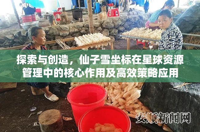 探索与创造，仙子雪坐标在星球资源管理中的核心作用及高效策略应用