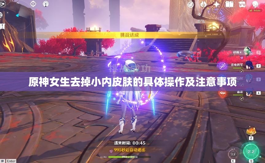 原神女生去掉小内皮肤的具体操作及注意事项