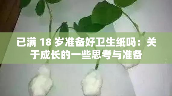 已满 18 岁准备好卫生纸吗：关于成长的一些思考与准备