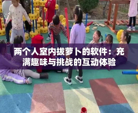 两个人室内拔萝卜的软件：充满趣味与挑战的互动体验