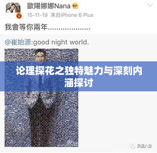 论理探花之独特魅力与深刻内涵探讨
