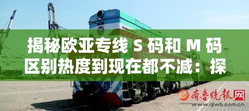 揭秘欧亚专线 S 码和 M 码区别热度到现在都不减：探究其背后的深层原因