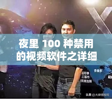 夜里 100 种禁用的视频软件之详细解析与全面探讨