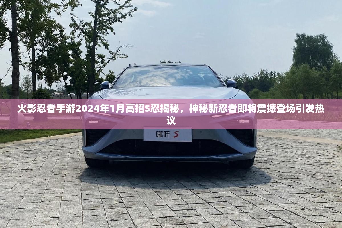 火影忍者手游2024年1月高招S忍揭秘，神秘新忍者即将震撼登场引发热议