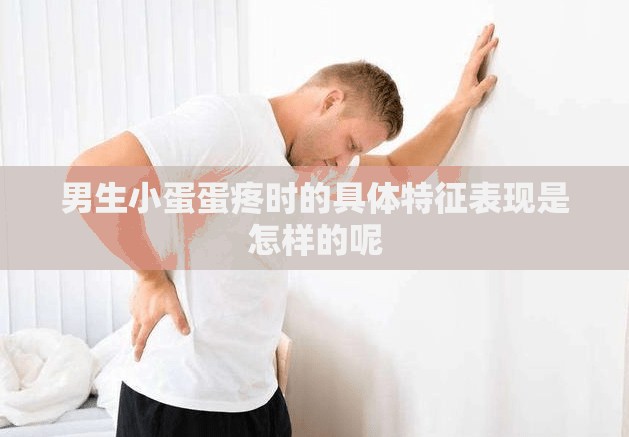男生小蛋蛋疼时的具体特征表现是怎样的呢