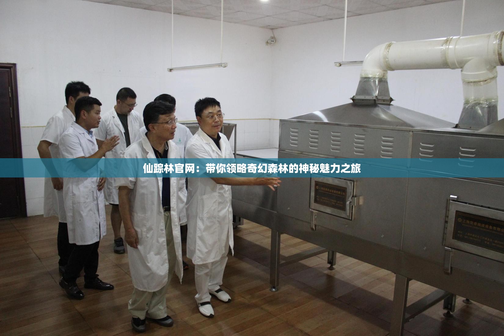 仙踪林官网：带你领略奇幻森林的神秘魅力之旅