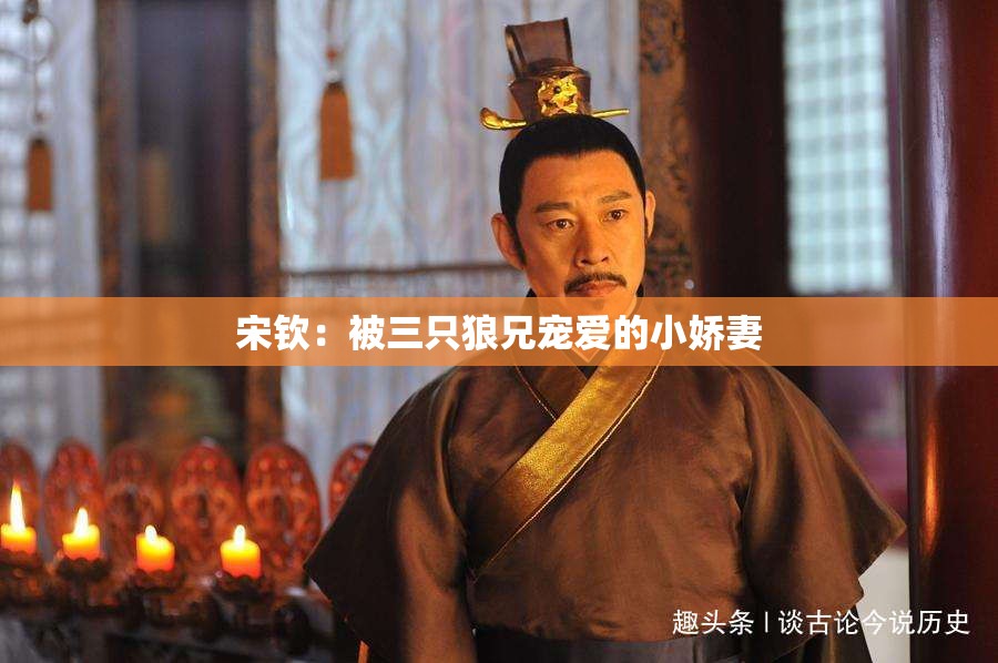 宋钦：被三只狼兄宠爱的小娇妻