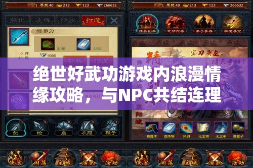 绝世好武功游戏内浪漫情缘攻略，与NPC共结连理的独家秘籍