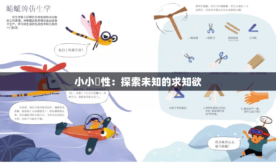小小泬性：探索未知的求知欲