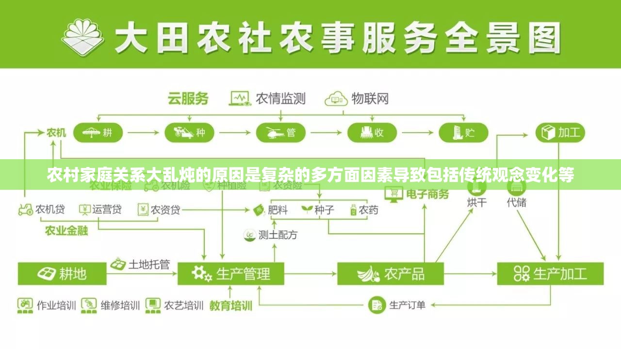 农村家庭关系大乱炖的原因是复杂的多方面因素导致包括传统观念变化等