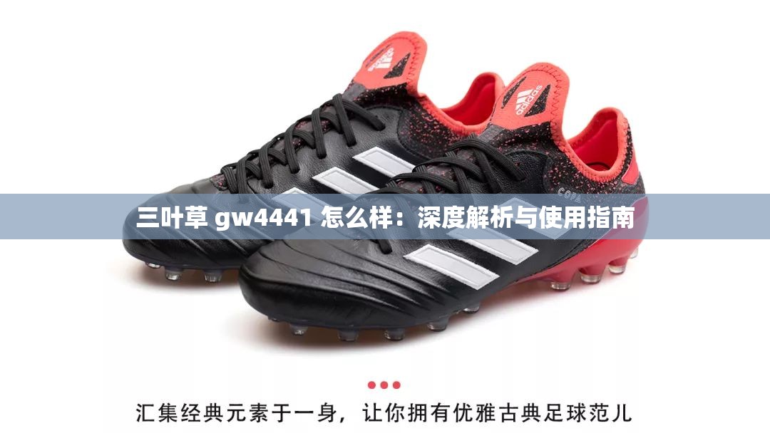 三叶草 gw4441 怎么样：深度解析与使用指南