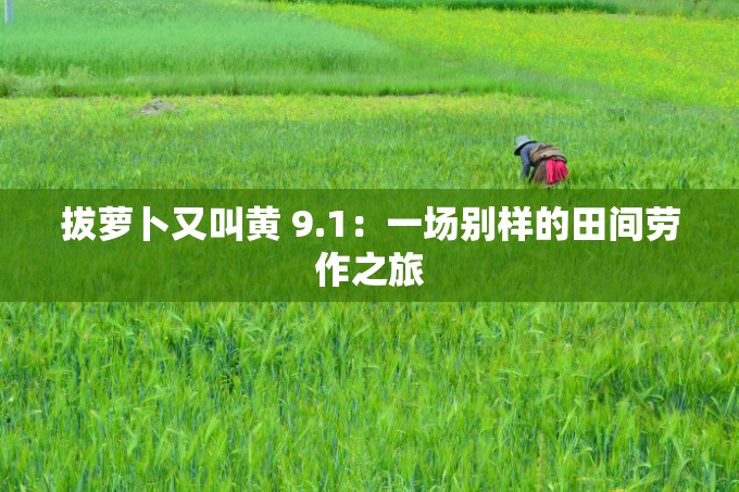 拔萝卜又叫黄 9.1：一场别样的田间劳作之旅